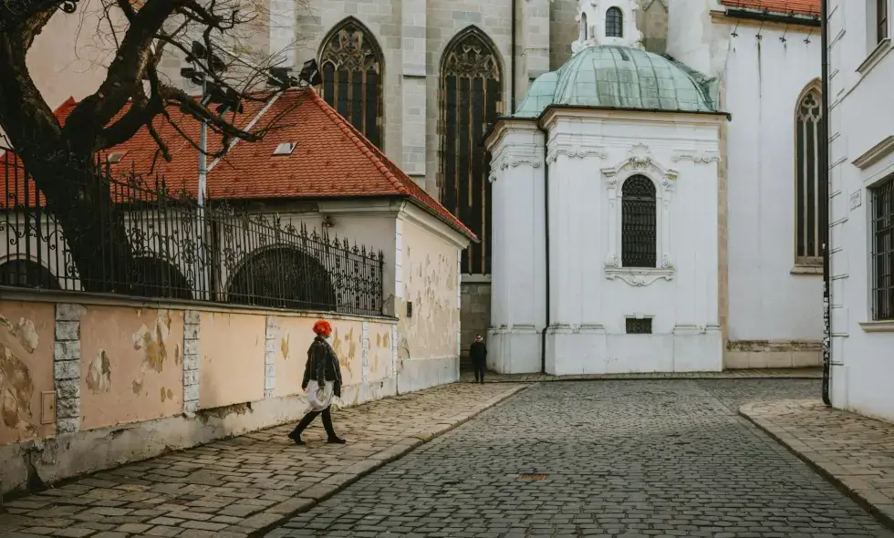 Prednosti nakupa in uporabe slovaškega vinjeta