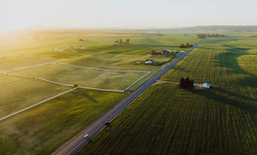 Winiety Zakupy na Węgrzech: szybkie i łatwe