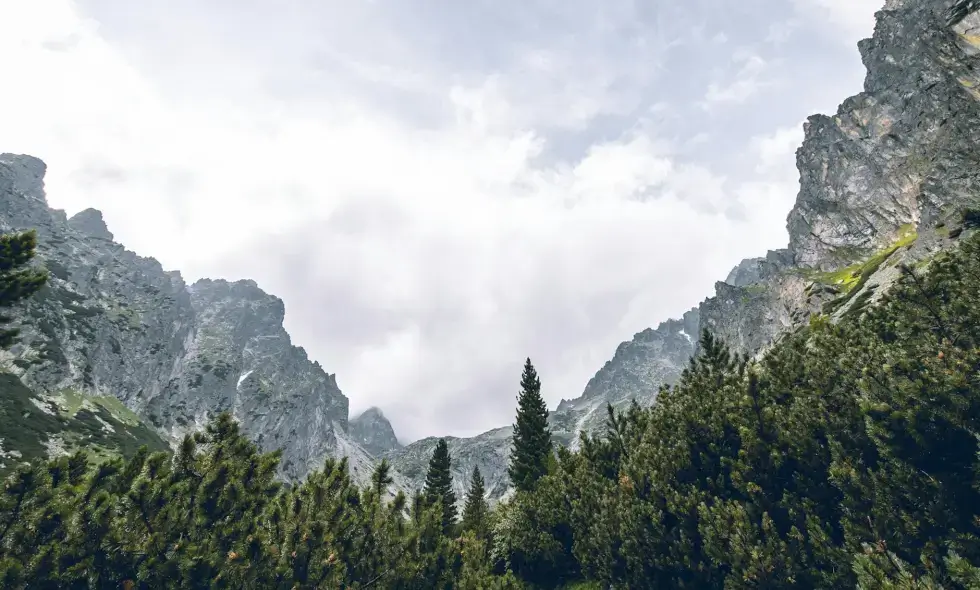 Slovaške avtoceste in njihove razpoložljive destinacije