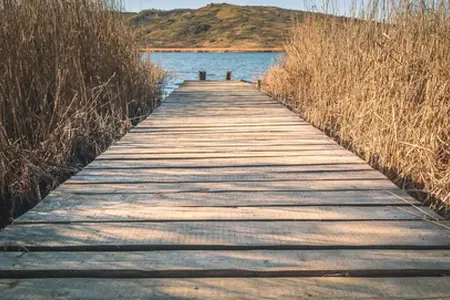 Rumuńskie winiety na zakupy